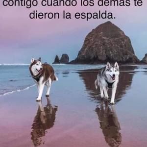 Meet your Posher, Libra